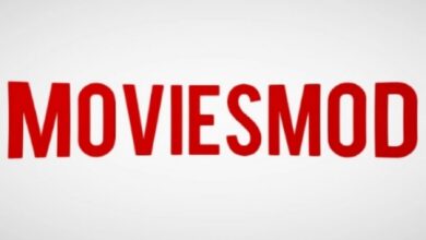 Moviesmod: Your Guide to Streaming Safely | Newztalkies.com