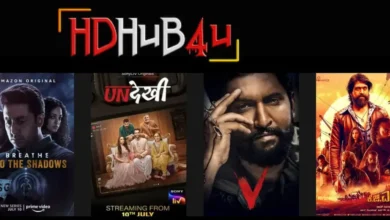 HDHub4u: Stream Free Bollywood & Hollywood Movies | Newztalkies.com